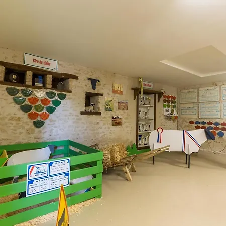 De Charme : Calme, Nature, Proche Du Mans, Terrasse, Jardin, Parking Prive - Fr-1-410-397 *