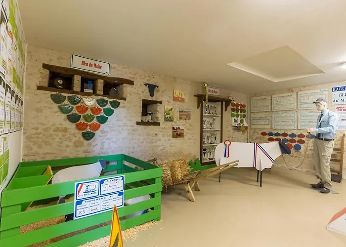 De Charme : Calme, Nature, Proche Du Mans, Terrasse, Jardin, Parking Privé - Fr-1-410-397 *